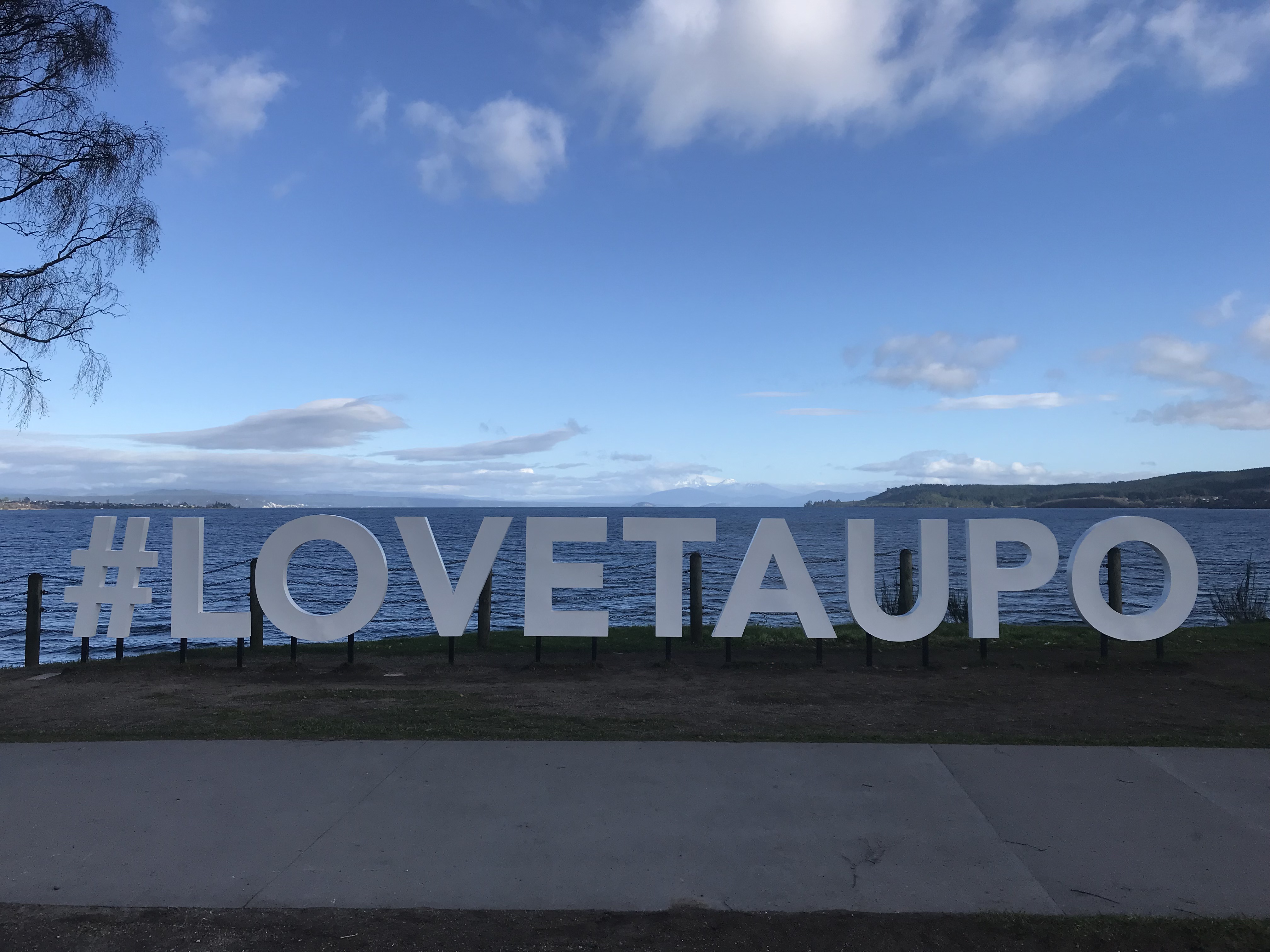 Everything You Need To Know About Taupo Town